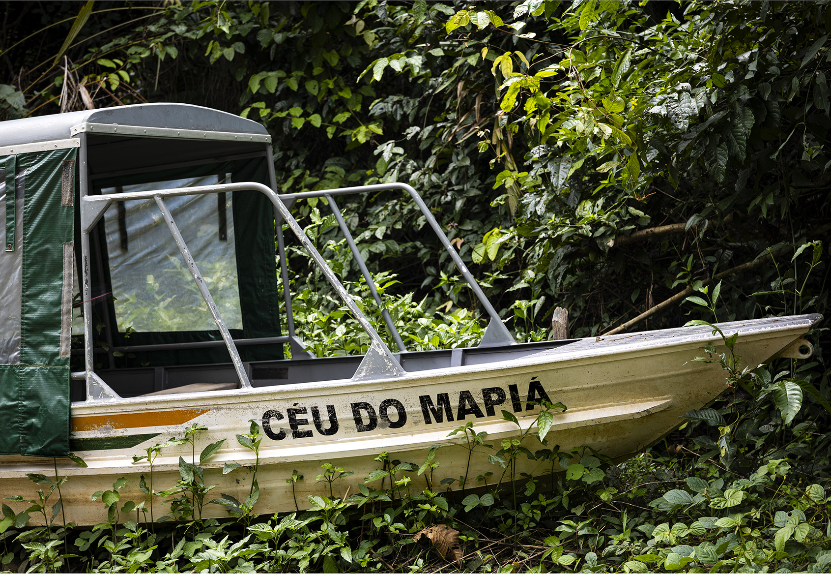 Mapia